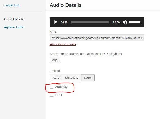 autoplay audio wordpress